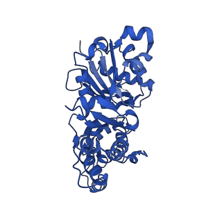 20844_6upw_A_v1-1
Metavinculin ABD-F-actin complex