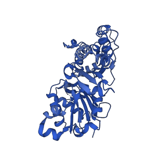 20844_6upw_B_v1-1
Metavinculin ABD-F-actin complex