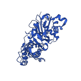 20844_6upw_C_v1-1
Metavinculin ABD-F-actin complex