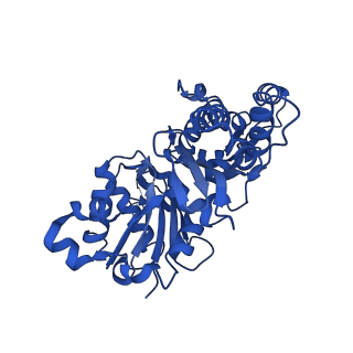 20844_6upw_D_v1-1
Metavinculin ABD-F-actin complex