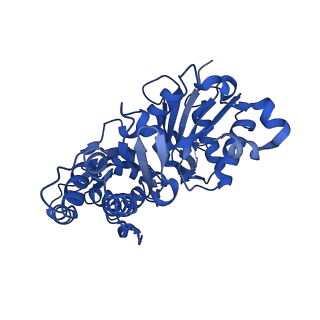 20844_6upw_E_v1-1
Metavinculin ABD-F-actin complex