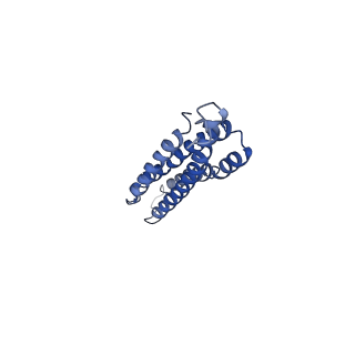 20844_6upw_L_v1-1
Metavinculin ABD-F-actin complex