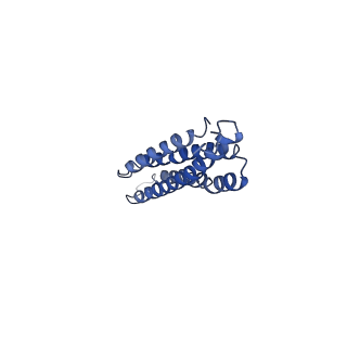 20844_6upw_M_v1-1
Metavinculin ABD-F-actin complex