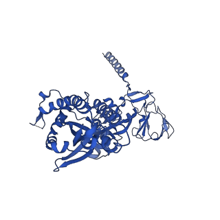 26658_7up9_A_v1-1
Prefusion-stabilized Nipah virus fusion protein complexed with Fab 2D3
