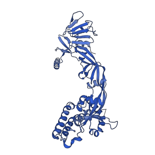 26658_7up9_D_v1-1
Prefusion-stabilized Nipah virus fusion protein complexed with Fab 2D3