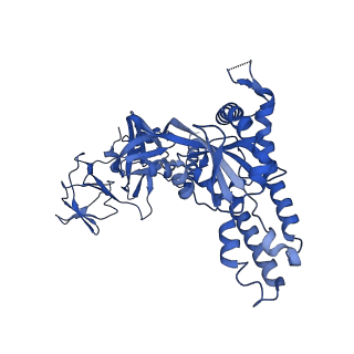 26658_7up9_G_v1-1
Prefusion-stabilized Nipah virus fusion protein complexed with Fab 2D3