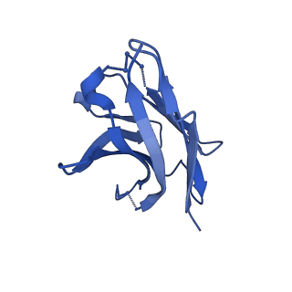 26658_7up9_H_v1-1
Prefusion-stabilized Nipah virus fusion protein complexed with Fab 2D3