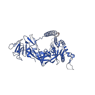 26659_7upa_A_v1-1
Prefusion-stabilized Nipah virus fusion protein complexed with Fab 1H8