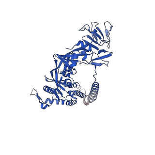 26659_7upa_D_v1-1
Prefusion-stabilized Nipah virus fusion protein complexed with Fab 1H8