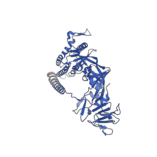 26659_7upa_G_v1-1
Prefusion-stabilized Nipah virus fusion protein complexed with Fab 1H8
