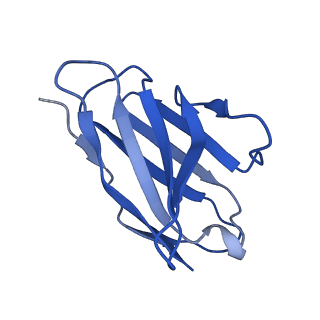 26659_7upa_L_v1-1
Prefusion-stabilized Nipah virus fusion protein complexed with Fab 1H8