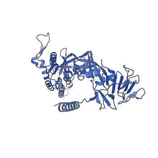 26660_7upb_A_v1-1
Prefusion-stabilized Nipah virus fusion protein complexed with Fab 1H1
