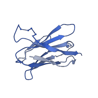 26660_7upb_B_v1-1
Prefusion-stabilized Nipah virus fusion protein complexed with Fab 1H1