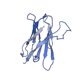26660_7upb_C_v1-1
Prefusion-stabilized Nipah virus fusion protein complexed with Fab 1H1