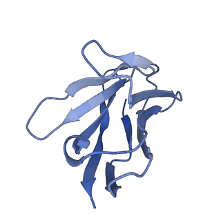 26660_7upb_F_v1-1
Prefusion-stabilized Nipah virus fusion protein complexed with Fab 1H1