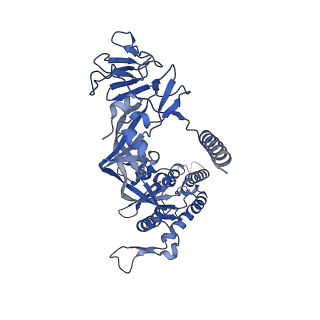 26660_7upb_G_v1-1
Prefusion-stabilized Nipah virus fusion protein complexed with Fab 1H1
