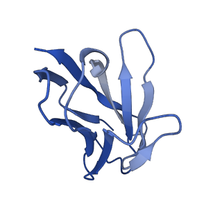 26660_7upb_L_v1-1
Prefusion-stabilized Nipah virus fusion protein complexed with Fab 1H1