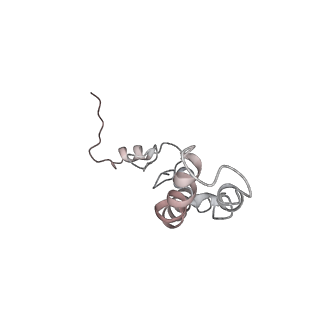 26666_7uph_A_v1-1
Structure of a ribosome with tethered subunits