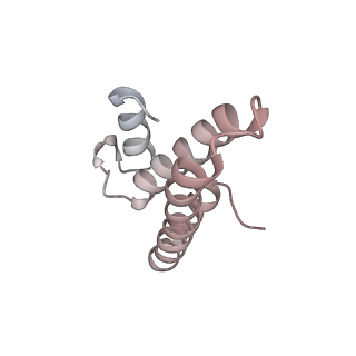 26666_7uph_B_v1-1
Structure of a ribosome with tethered subunits