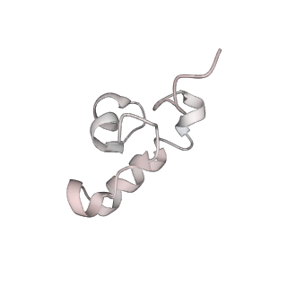 26666_7uph_E_v1-1
Structure of a ribosome with tethered subunits
