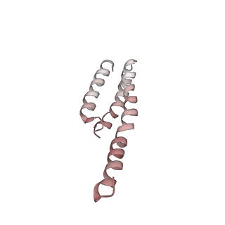 26666_7uph_G_v1-1
Structure of a ribosome with tethered subunits