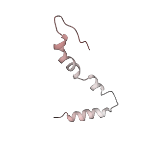 26666_7uph_H_v1-1
Structure of a ribosome with tethered subunits