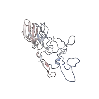 26666_7uph_K_v1-1
Structure of a ribosome with tethered subunits
