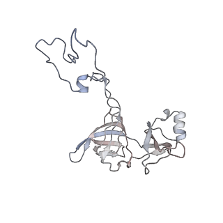 26666_7uph_L_v1-1
Structure of a ribosome with tethered subunits