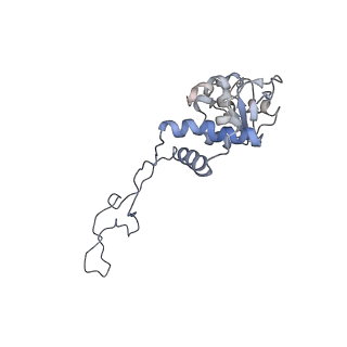 26666_7uph_M_v1-1
Structure of a ribosome with tethered subunits