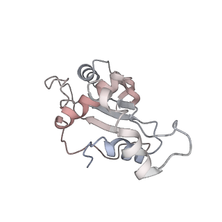 26666_7uph_N_v1-1
Structure of a ribosome with tethered subunits