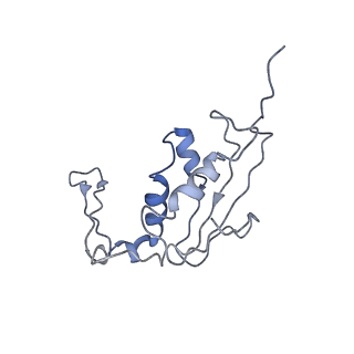 26666_7uph_R_v1-1
Structure of a ribosome with tethered subunits