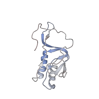26666_7uph_U_v1-1
Structure of a ribosome with tethered subunits
