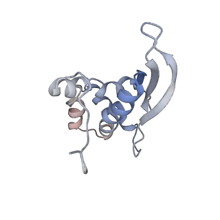 26666_7uph_V_v1-1
Structure of a ribosome with tethered subunits