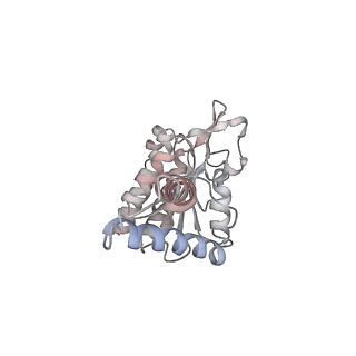 26666_7uph_W_v1-1
Structure of a ribosome with tethered subunits