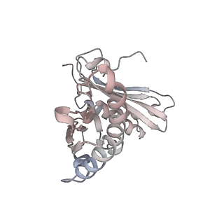 26666_7uph_X_v1-1
Structure of a ribosome with tethered subunits