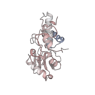 26666_7uph_Y_v1-1
Structure of a ribosome with tethered subunits