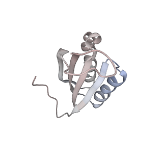 26666_7uph_a_v1-1
Structure of a ribosome with tethered subunits