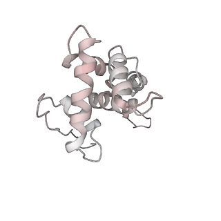 26666_7uph_b_v1-1
Structure of a ribosome with tethered subunits