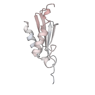 26666_7uph_f_v1-1
Structure of a ribosome with tethered subunits