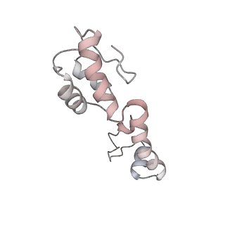 26666_7uph_h_v1-1
Structure of a ribosome with tethered subunits