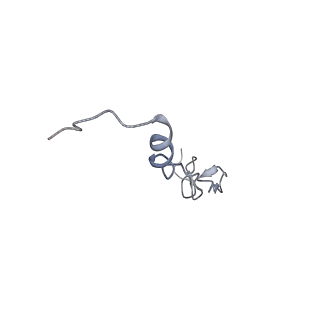 26666_7uph_i_v1-1
Structure of a ribosome with tethered subunits