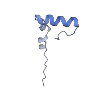 26666_7uph_k_v1-1
Structure of a ribosome with tethered subunits