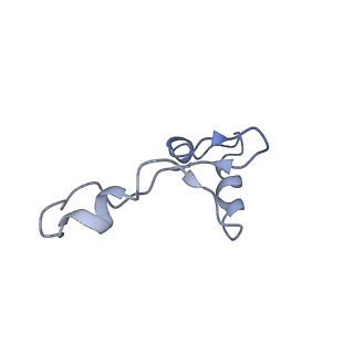 26666_7uph_l_v1-1
Structure of a ribosome with tethered subunits