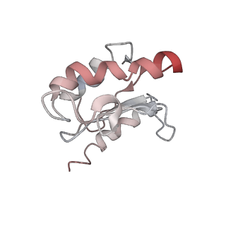 26666_7uph_n_v1-1
Structure of a ribosome with tethered subunits