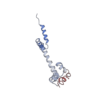 26666_7uph_p_v1-1
Structure of a ribosome with tethered subunits