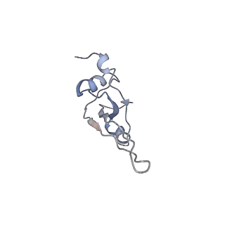 26666_7uph_s_v1-1
Structure of a ribosome with tethered subunits