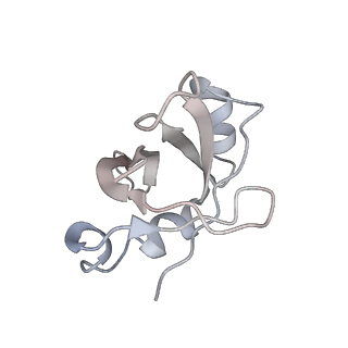 26666_7uph_u_v1-1
Structure of a ribosome with tethered subunits