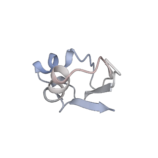 26666_7uph_y_v1-1
Structure of a ribosome with tethered subunits