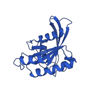26667_7upi_A_v1-2
Cryo-EM structure of SHOC2-PP1c-MRAS holophosphatase complex