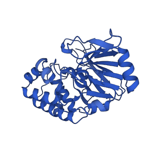26667_7upi_B_v1-2
Cryo-EM structure of SHOC2-PP1c-MRAS holophosphatase complex